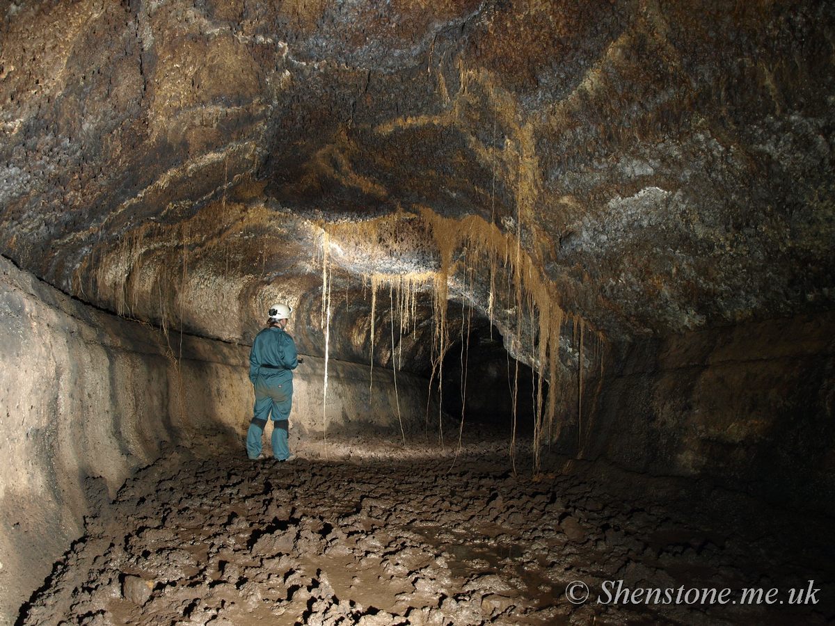 Cueva del Viento Breveritas Entrance, Tenerife, canary Islands